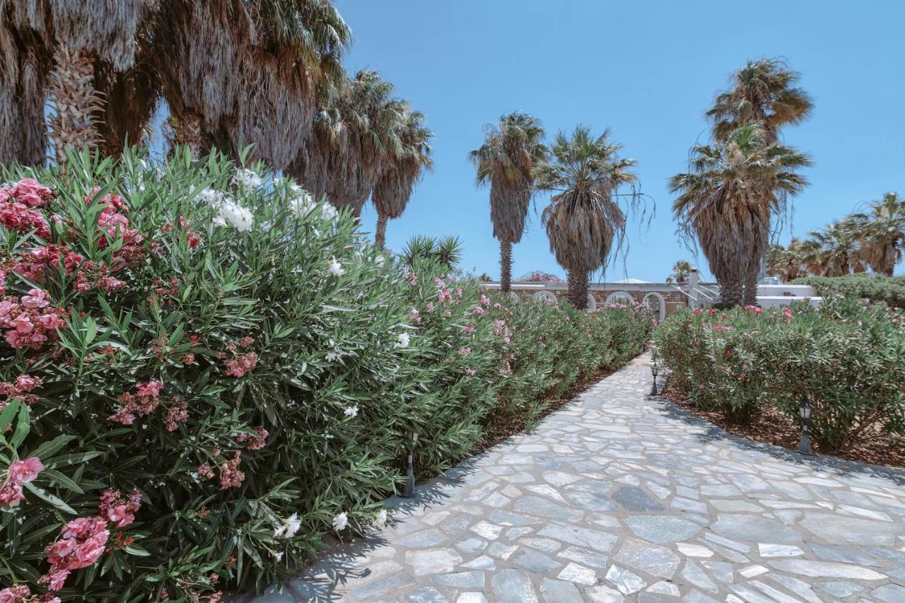 Palm Heaven Boutique Apartments Αντίπαρος Εξωτερικό φωτογραφία