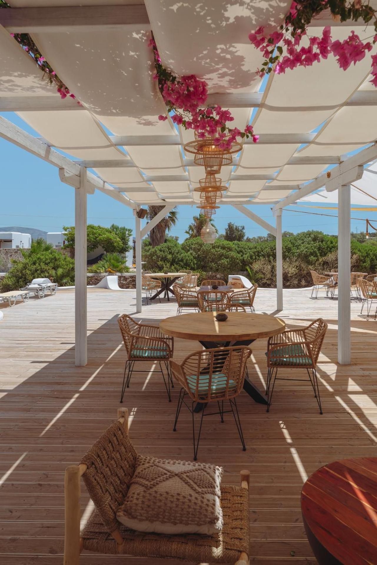 Palm Heaven Boutique Apartments Αντίπαρος Εξωτερικό φωτογραφία