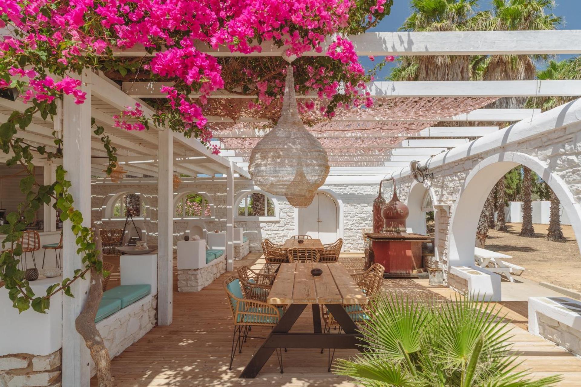 Palm Heaven Boutique Apartments Αντίπαρος Εξωτερικό φωτογραφία